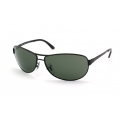 RAYBAN RB3343 004